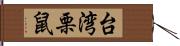 台湾栗鼠 Hand Scroll