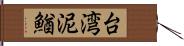 台湾泥鰌 Hand Scroll