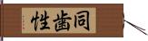 同歯性 Hand Scroll