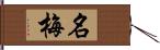 名梅 Hand Scroll