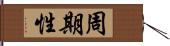 周期性 Hand Scroll