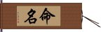 命名 Hand Scroll