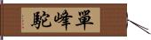 單峰駝 Hand Scroll