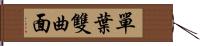 單葉雙曲面 Hand Scroll