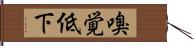 嗅覚低下 Hand Scroll