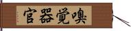 嗅覚器官 Hand Scroll