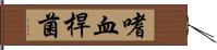 嗜血桿菌 Hand Scroll