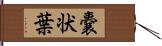 嚢状葉 Hand Scroll