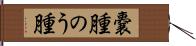 嚢腫 Hand Scroll