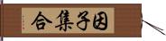 因子集合 Hand Scroll