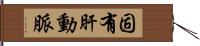 固有肝動脈 Hand Scroll