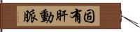 固有肝動脈 Hand Scroll