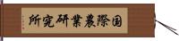 国際農業研究所 Hand Scroll