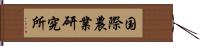 国際農業研究所 Hand Scroll