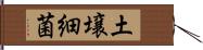 土壌細菌 Hand Scroll