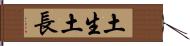 土生土長 Hand Scroll