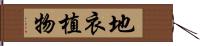 地衣植物 Hand Scroll