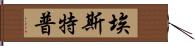 Estep Hand Scroll