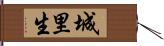 城里生 Hand Scroll