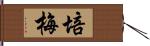 培梅 Hand Scroll