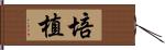 培植 Hand Scroll