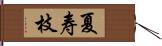 夏寿枝 Hand Scroll