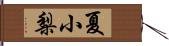 夏小梨 Hand Scroll