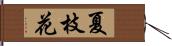 夏枝花 Hand Scroll