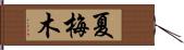 夏梅木 Hand Scroll