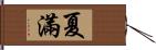 夏滿 Hand Scroll