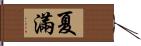 夏滿 Hand Scroll