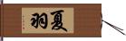 夏羽 Hand Scroll