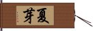 夏芽 Hand Scroll