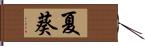 夏葵 Hand Scroll