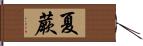 夏蕨 Hand Scroll