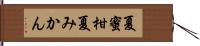 夏蜜柑 Hand Scroll