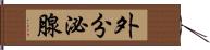 外分泌腺 Hand Scroll