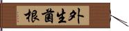 外生菌根 Hand Scroll