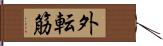 外転筋 Hand Scroll