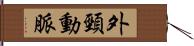 外頸動脈 Hand Scroll