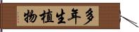 多年生植物 Hand Scroll