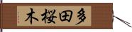 多田桜木 Hand Scroll