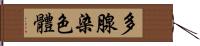 多腺染色體 Hand Scroll