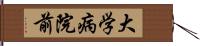 大学病院前 Hand Scroll