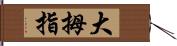 大拇指 Hand Scroll