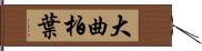 大曲柏葉 Hand Scroll