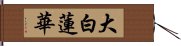 大白蓮華 Hand Scroll