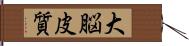 大脳皮質 Hand Scroll