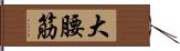 大腰筋 Hand Scroll