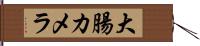 大腸カメラ Hand Scroll